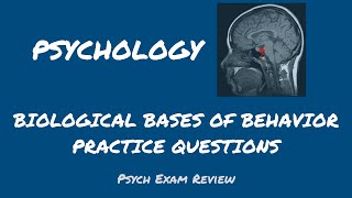 Psychology Review Questions - Biological Bases of Behavior