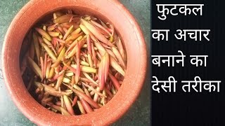 फुटकल का अचार देसी तरीका से #Phutkal Ka Achar