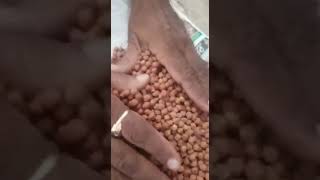 best quality chana ಕಡಲೆ ಕಾಳು