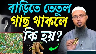 সাবধান ! বাড়িতে তেতুল গাছ থাকলে তারা শুনুন || শায়খ আহমাদুল্লাহ।