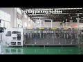 Doypack packing machine-DS-180DS. From Acepack, Shanghai