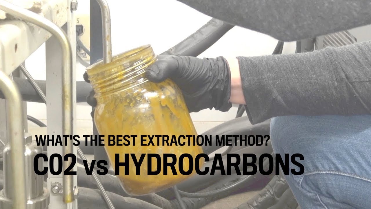 Best Extraction Method: CO2 Vs HYDROCARBONS - YouTube