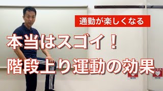 本当はスゴイ！自然に足腰強化「階段上り運動」の効果とは？