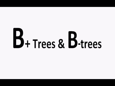 B+ Trees And B- Trees Insertion And Deletion In INDEXING - YouTube