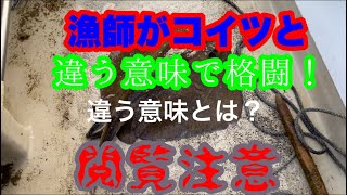 上五島の漁師の格闘！#衝撃映像#出産#命