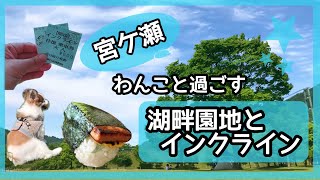 【宮ケ瀬】わんこと過ごす湖畔園地とインクライン乗車🎶