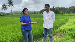 Barsu Refinery Agitation Arti Kulkarni Ground Report katalshilpa and Biodiversity of Kokan Shekru