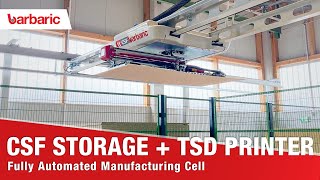 Barbaric CSF Storage \u0026 Retrieval System for Prefabricated House Wall Production / TSD Inkjet Printer