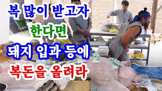 [유교약사생불사 1490강] 복 많이 받고자 한다면 돼지 입과 등에 복돈을 올려라.