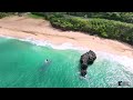 waimea bay beach park oahu hawaii north shore of oahu