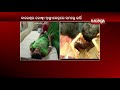 15 persons who fell ill after consuming poisonous tea in bhogarai area shifted to balasore dhh