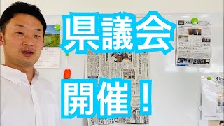 2020年9月愛媛県議会開会【愛媛県議会議員・中野たいせい】