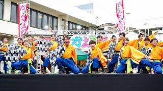 [4K]よさこい連 真輝-SANAGI-　堺よさこいかえる祭り2017 いずみがおか広場会場（中央）