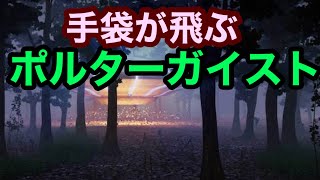 【12年霊】家に起きたポルターガイスト　マリーアントワネットの息子か　失われた王子ルイシャルル【怪異】