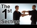 Wing Tsun 1st Chi Sau Section