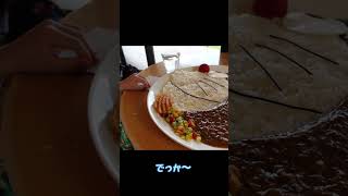 ドラえもんのカレーがデカ過ぎる