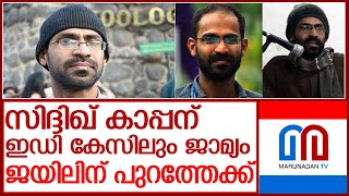 സിദ്ദിഖ് കാപ്പന് ഇ ഡി കേസിലും ജാമ്യം, ഉടൻ ജയിൽ മോചിതനാകും! l sidheeq kappan