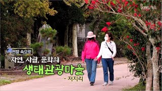 현장 속으로 [자연, 사람, 문화의 생태관광마을-저지리] KBS제주 211111방송