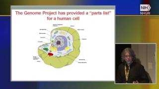 Expression Analysis, Functional Enrichment, and Network Inference - John Quackenbush (2016)