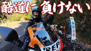 【酷道？】すみませんガードレールください【CBR1000RR SC57後期 逆車】桜の公園からの帰り道【バイク女子】