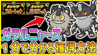 【ポケモンSV】１分で分かるガラルニャースの入手方法まとめ！【スカーレット バイオレット】