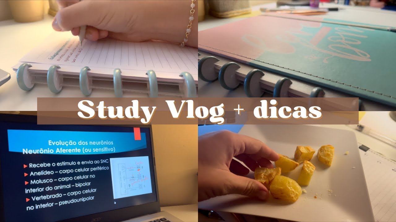 STUDY VLOG + Dicas De Estudos E Produtividade - YouTube