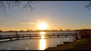 🇳🇱 Winter in Kralingse bos Rotterdam