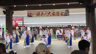 向日葵「九州がっ祭2019」