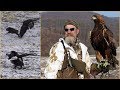 Hari Herak - Wild Boar Hunting with Eagle - Wildschweinjagd mit Adler