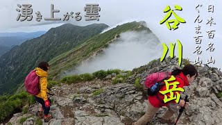 20246月30日【谷川岳】トマの耳