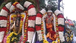 POZHICHALUR TEMPLE Arudhara  festival