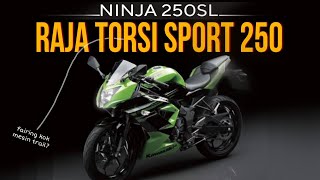 Kawasaki Ninja 250SL | Apakah Torsi Besar Cocok Untuk Harian!