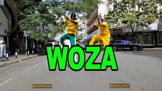 Rayvanny Ft Diamond Platnumz - Woza (Official Dance Video)
