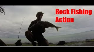 Manakau Harbour Rock Fishing - Catch n Cook