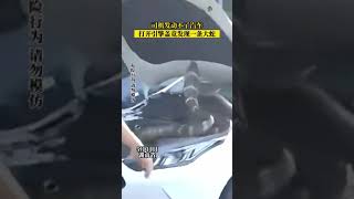 司机发动不了汽车，打开引擎盖竟发现一条大蛇。#shortvideo #shorts