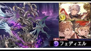 【グラブル】フェディエルHL フルオート 8T 5分16秒 モンク / FA【ルシ×マグナ】【GBF】