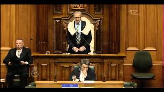 Peters and Parata stand their ground during question time