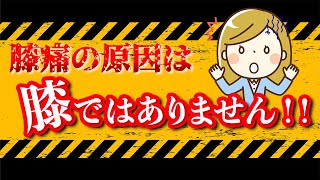 膝痛は変形性膝関節症は筋トレでは治らない。間違いだらけの変形性膝関節症の痛み改善筋トレ法【大阪　阿倍野　天王寺】