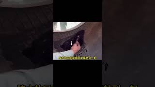 破了三指大小的報廢輪胎，巴基斯坦師傅如何手工修復完美如初 #名偵探柯驢 #案件 #探案 #懸案 #懸疑