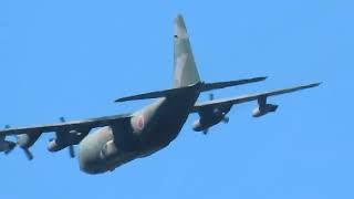 【3機】航空自衛隊Lockheed C-130 Hercules（75-1075＆85-1080）他が異常！低空旋回飛行⑨2024年2月27日（火）