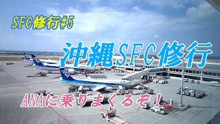 沖縄SFC修行　　日帰り修行が1泊2日に。おじさんが飛行機乗りまくり。