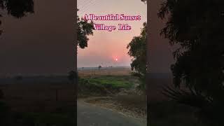 A Beautiful Sunset at village. #village #yt #shorts #minivlog #travel #incredibleindia