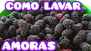 COMO LAVAR AMORAS PARA CONGELAR Maiskibom 😋