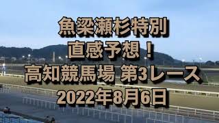 魚梁瀬杉特別 直感予想！ 高知競馬場  第3レース 2022年8月6日