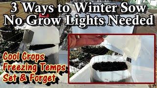 What is Winter Sowing and How Do You Do It - Made Easy:  The Milk Jug, Pet Food Container \u0026 The Tote