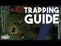 A Beginner's Trapping Guide For Project Zomboid - A Guide To Trapping Animals In Project Zomboid!