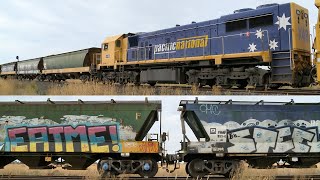 7731V Pacific National Grain Train With 8128 \u0026 X48 (1/3/2022) - PoathTV Australian Railways