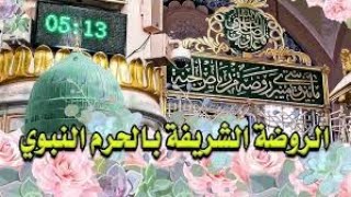 من الروضة الشريفة شاهد زيارة النبي والسلام عليه بأدب وخشوع في مسجد رسول الله ﷺ\