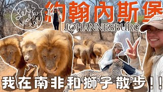 [𝐉𝐨𝐡𝐚𝐧𝐧𝐞𝐬𝐛𝐮𝐫𝐠 𝐕𝐥𝐨𝐠]🇿🇦❤︎🗺我在南非和獅子散步🦁|約翰內斯堡☀️🌍|和BB豹合照🐆超乖超可愛|🦓動物門在車前過馬路🛣