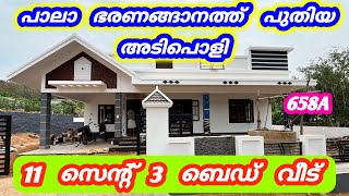 11 സെന്റ് 3 ബെഡ് പുതിയ അടിപൊളി വീട് ❤️പാലാ ഭരണങ്ങാനം 658A #kerala #home #kottyam #pala #houseforsale